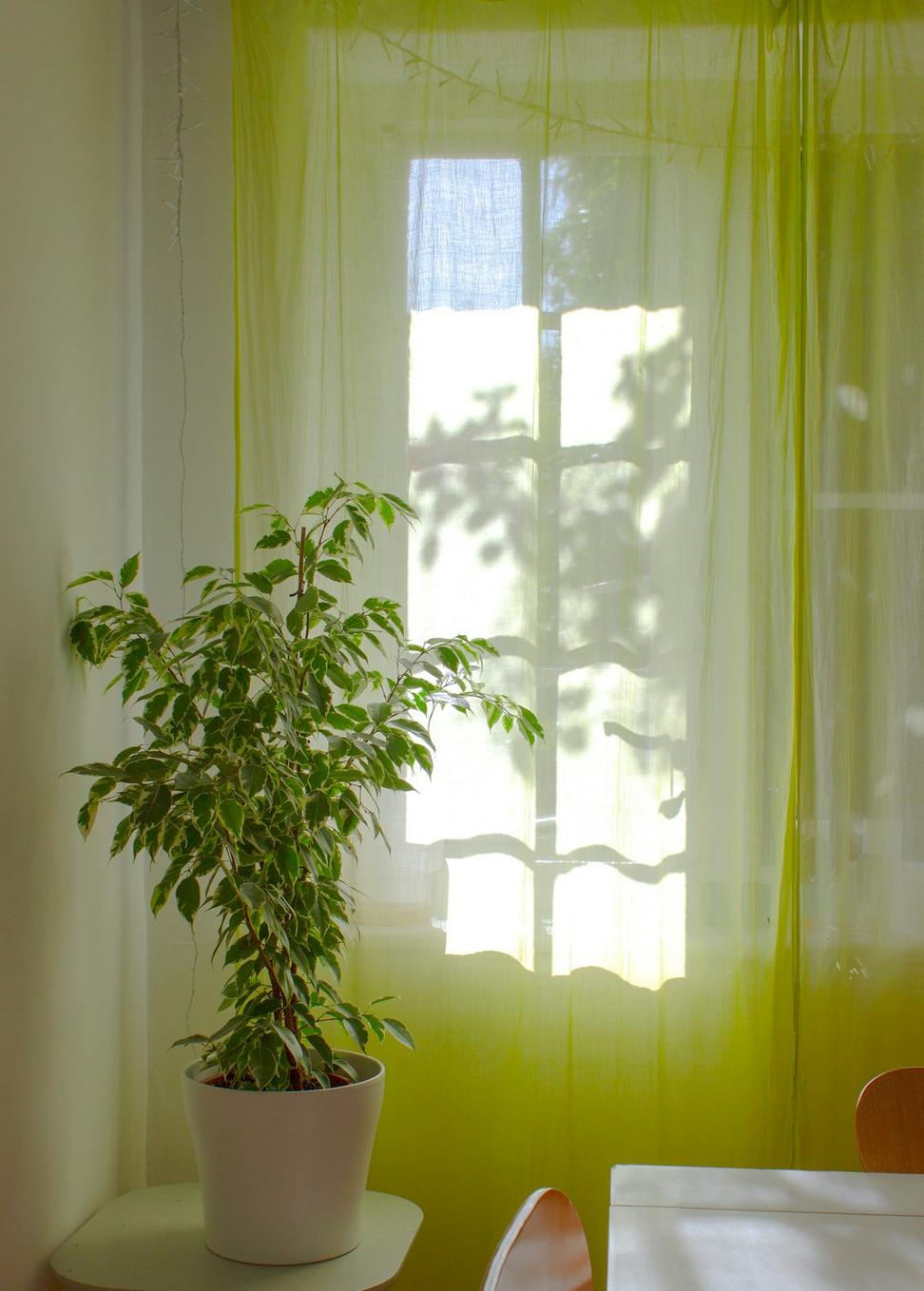 Interior Environment