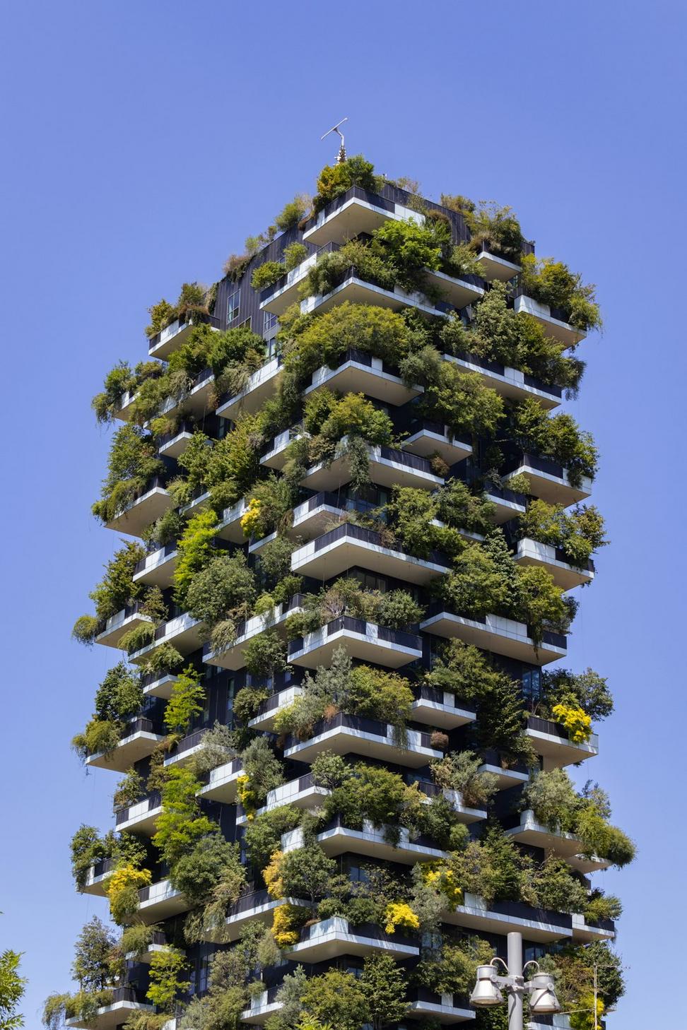 Sustainable Solutions